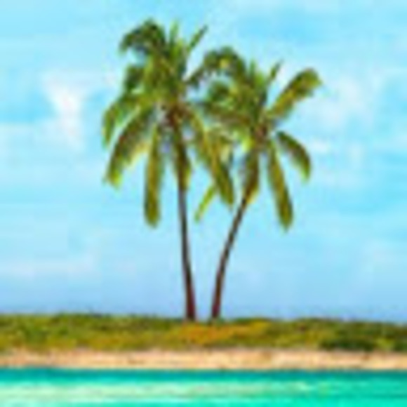 Meet your Posher, Kat - Picture 1 of 1